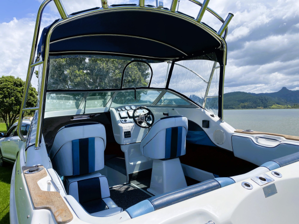 Cockpit, helm and bimini